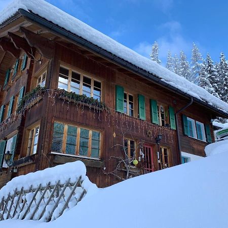 Chalet Schiltwald InnerВенген Экстерьер фото