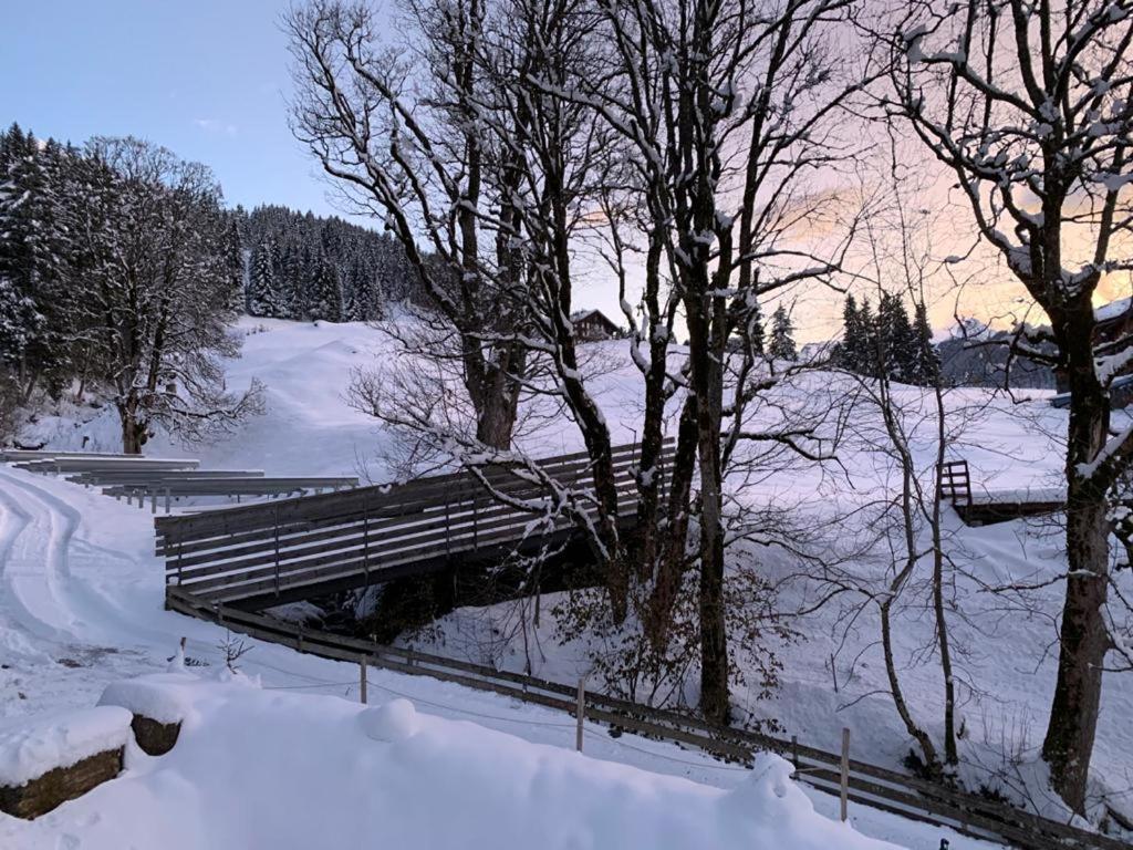 Chalet Schiltwald InnerВенген Экстерьер фото