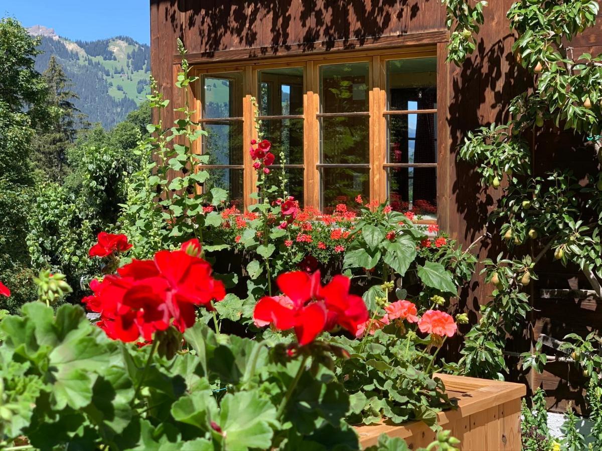 Chalet Schiltwald InnerВенген Экстерьер фото