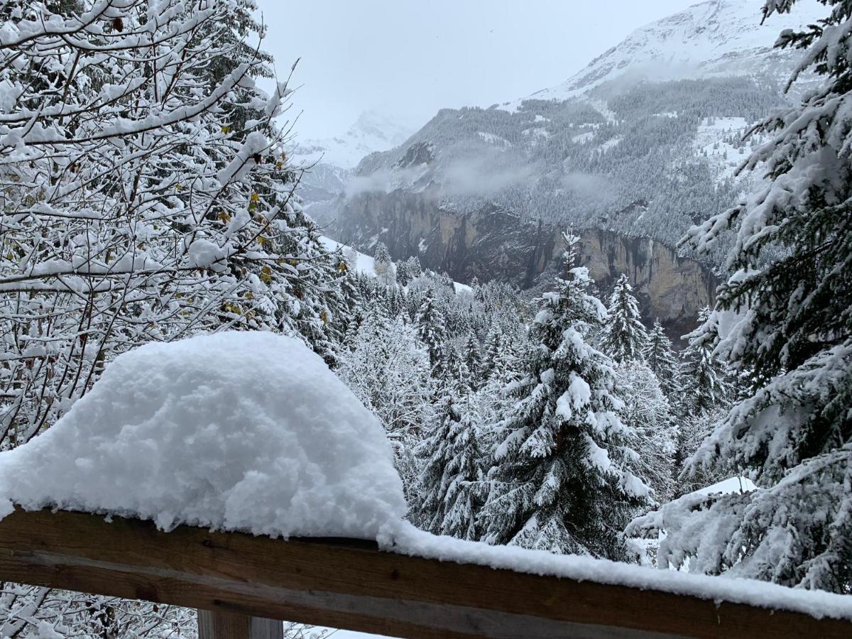Chalet Schiltwald InnerВенген Экстерьер фото