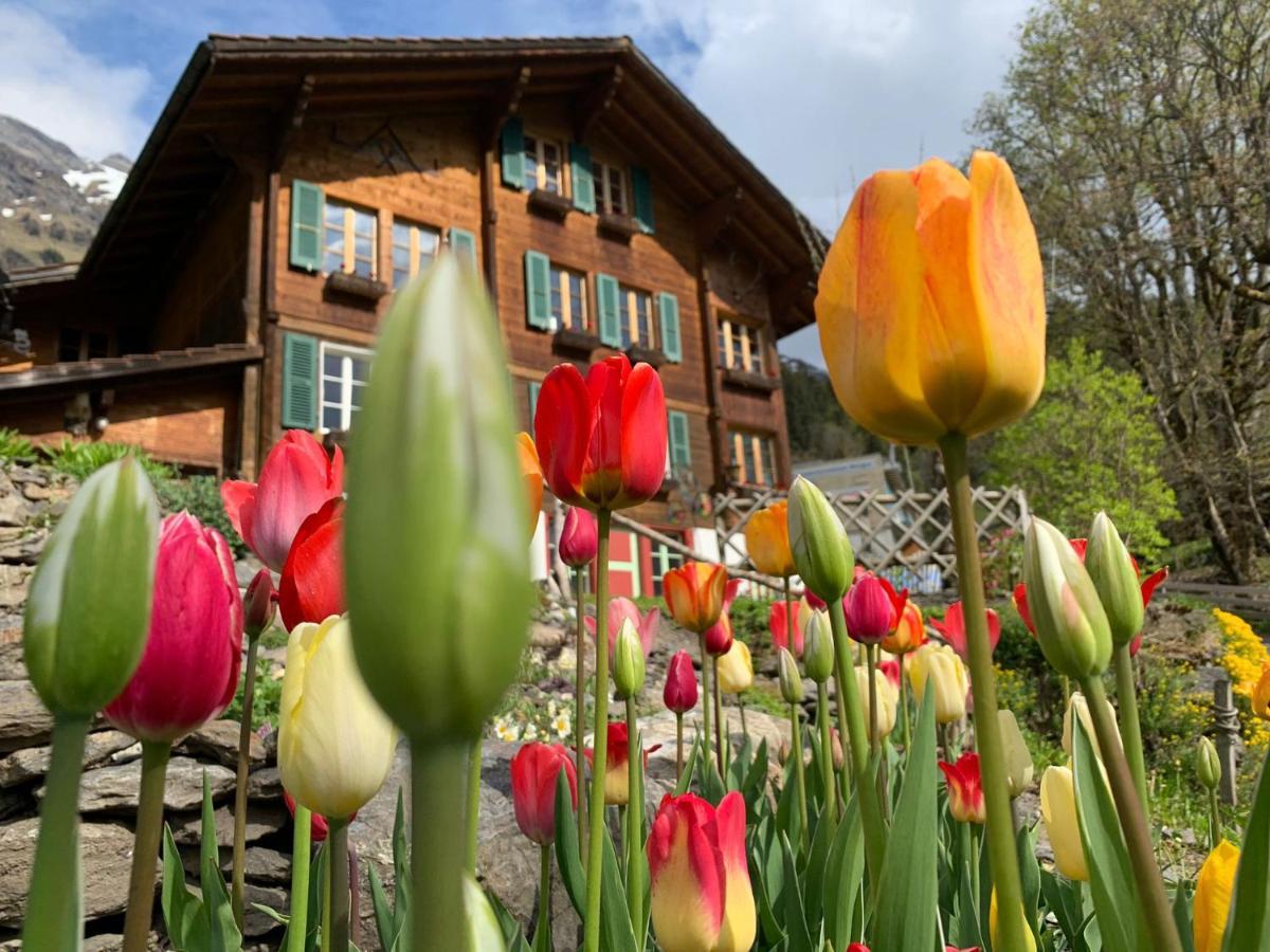 Chalet Schiltwald InnerВенген Экстерьер фото